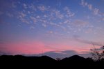 20081109_206