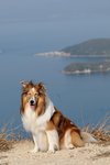 20090118_067