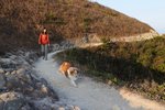 20090118_124