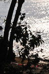 20090130_090