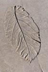20090130_101