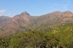 20090208_032