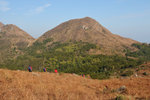 20090208_034
