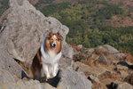 20090208_040