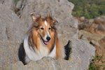 20090208_045