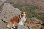 20090208_047