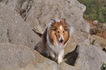 20090208_048