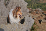 20090208_050