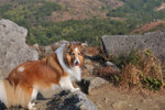 20090208_073