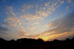 20090208_224