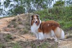 20090404_015