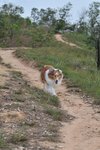 20090404_039