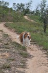 20090404_040
