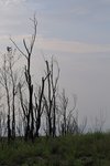 20090404_056