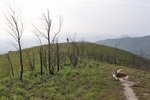 20090404_059
