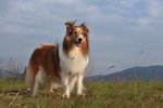 20090404_061
