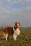 20090404_070