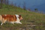 20090404_108