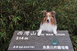 20090417_118