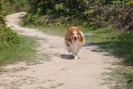 20090501_009