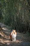20090501_066