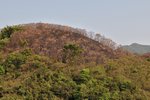 20090501_084