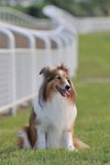 20090619_028