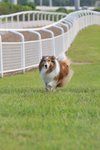 20090619_031