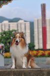 20090619_064