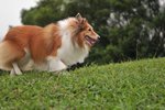 20090701_009