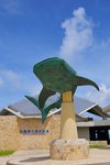 去海洋博公園的最主要原因，就係為咗去美麗沖繩之海水族館 (沖縄美ら海水族館)
