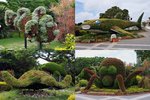 公園裏有好多海洋生物的造型。