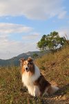 20091018_101