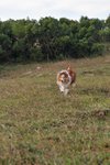 20091018_131