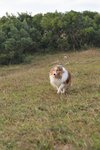 20091018_134