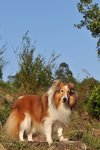 20091121_019