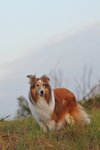 20091121_151