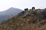 20091205_051