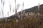 20091205_090