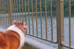 20111016_036