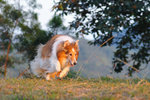 20111204_025