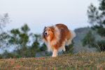 20111204_035