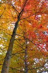 20111222_036