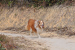 20111226_027