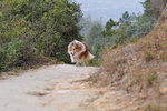 20111226_044