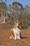 20111228_029