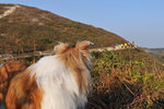 20111228_051
