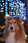 20111228_074