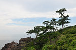 20130806_003