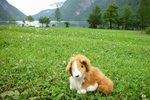 20060801-030